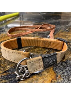 ROGZ dog collar with leash